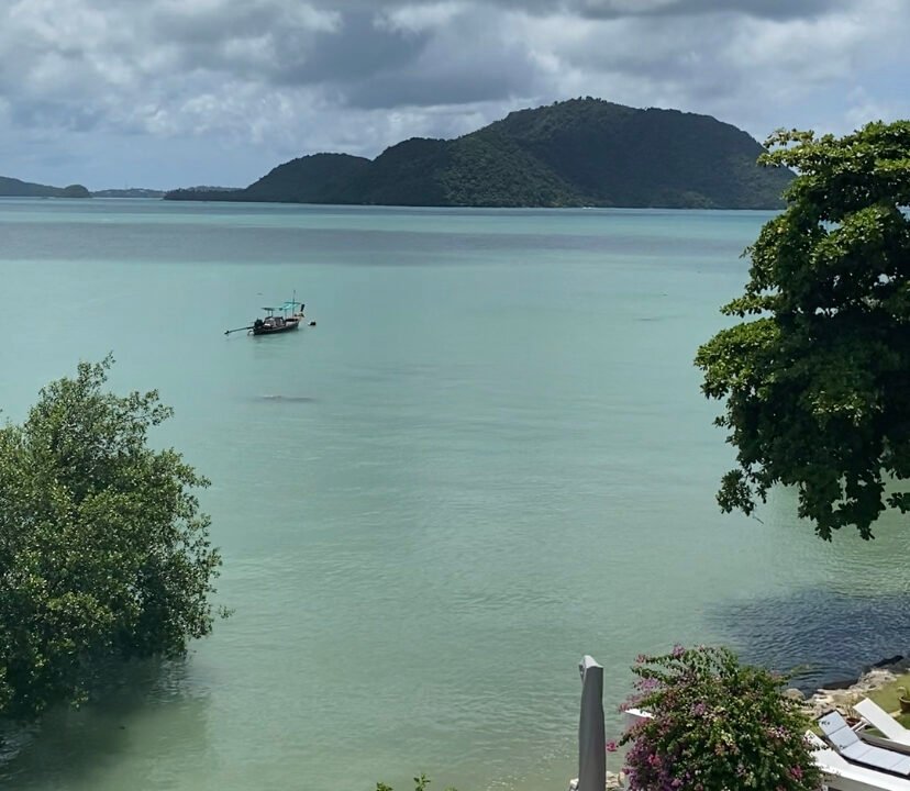 Photo 6-9-23 13 30 34