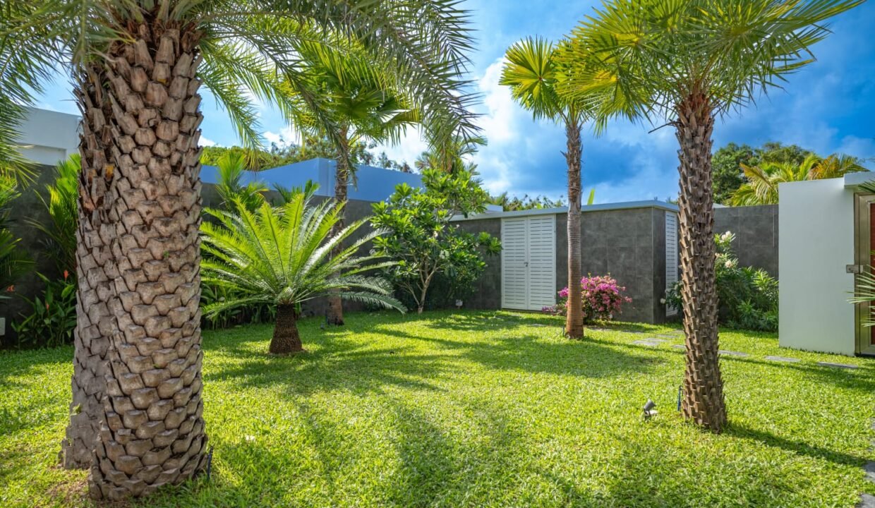 WhatsApp Image 2025-07-09 at 2.41.30 PM