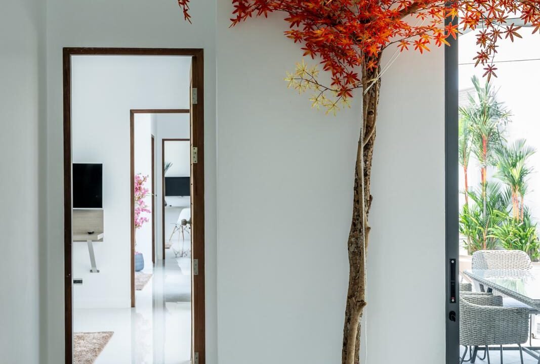 WhatsApp Image 2025-07-09 at 2.43.19 PM