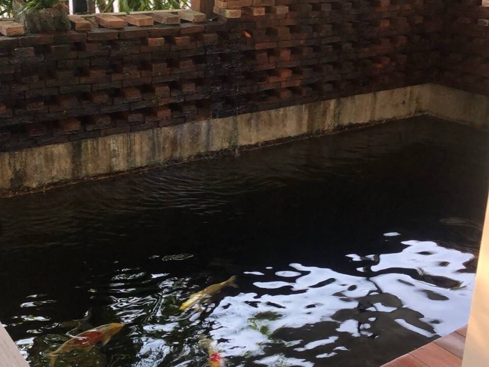 WhatsApp Image 2568-08-28 at 12.37.24